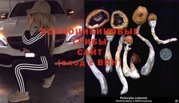 мяу мяу мука Баксан